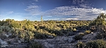 photo thumbnail #12