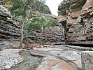 photo thumbnail #12