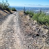 photo thumbnail #11