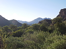 photo thumbnail #9