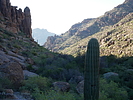 photo thumbnail #10