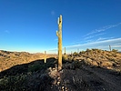 photo thumbnail #14