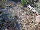photo thumbnail #2