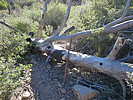 photo thumbnail #5