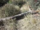 photo thumbnail #8