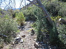 photo thumbnail #10