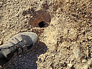 photo thumbnail #8