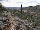 photo thumbnail #3