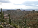 2021-11-09 :3: Fountain Hills Wander :: FLYING_FLIVER