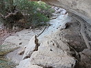 photo thumbnail #14