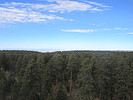 photo thumbnail #14