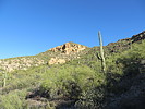 photo thumbnail #8