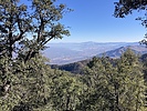 photo thumbnail #5