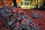 photo thumbnail #12