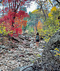 photo thumbnail #13