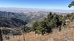 photo thumbnail #12