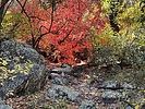 photo thumbnail #2