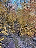 photo thumbnail #13