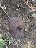 photo thumbnail #6