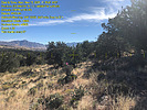 photo thumbnail #12