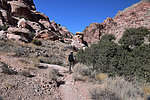 photo thumbnail #3