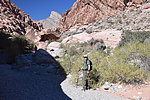 photo thumbnail #4