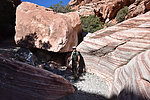 photo thumbnail #9