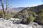 photo thumbnail #6