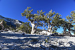 photo thumbnail #10