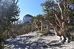photo thumbnail #15