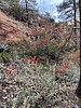 photo thumbnail #13