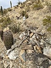 photo thumbnail #4