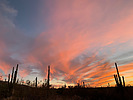 photo thumbnail #6