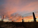 photo thumbnail #7