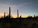 photo thumbnail #10