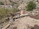 photo thumbnail #11