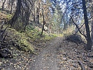 photo thumbnail #4