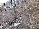 photo thumbnail #4