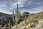 photo thumbnail #6