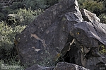 photo thumbnail #12