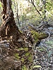 photo thumbnail #13