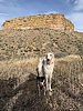photo thumbnail #2