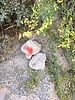 photo thumbnail #13