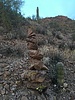 photo thumbnail #4