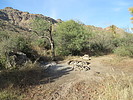 photo thumbnail #6
