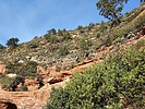 2021-11-20 :3: Vultee Arch :: DixieFlyer