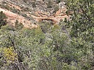 2021-11-20 :3: Vultee Arch :: DixieFlyer