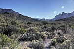 photo thumbnail #8