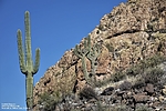 photo thumbnail #13
