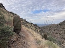photo thumbnail #1